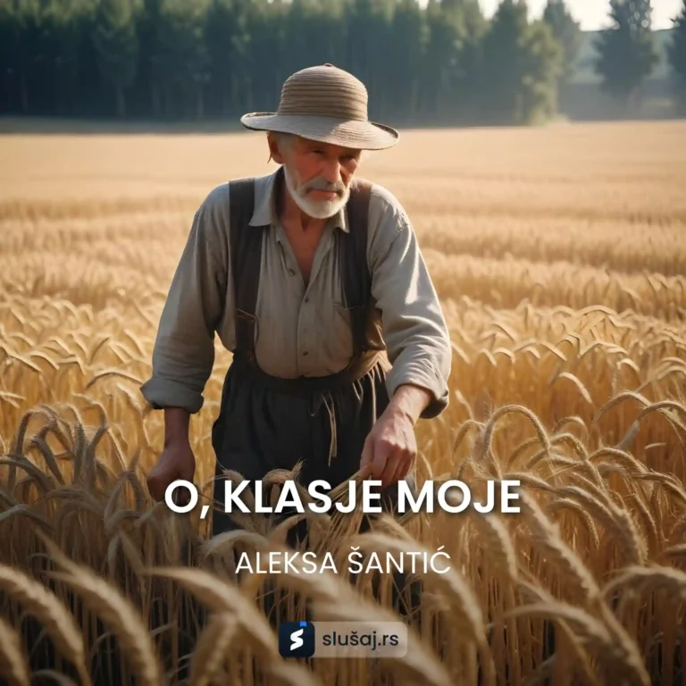O, klasje moje