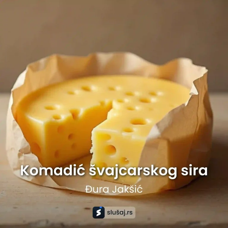 Komadić švajcarskog sira