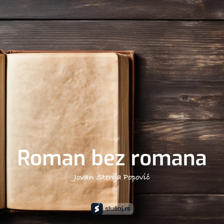 Roman bez romana