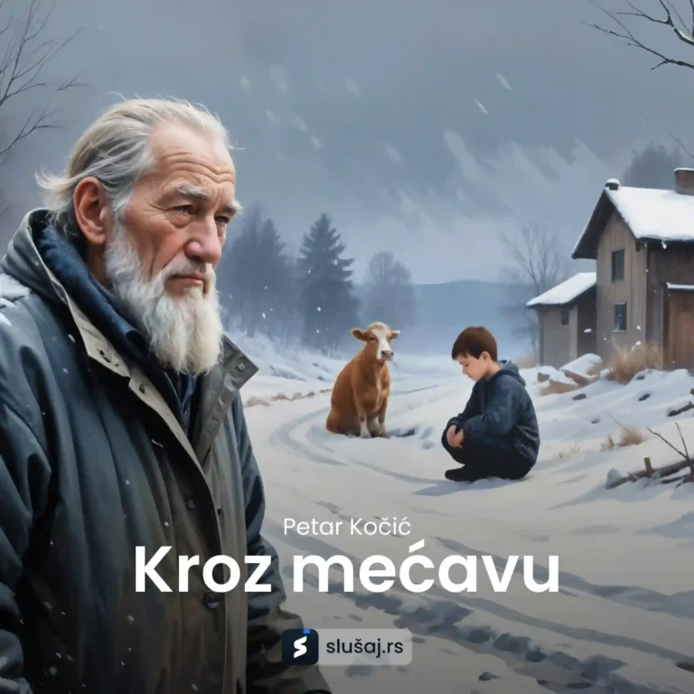Kroz mećavu