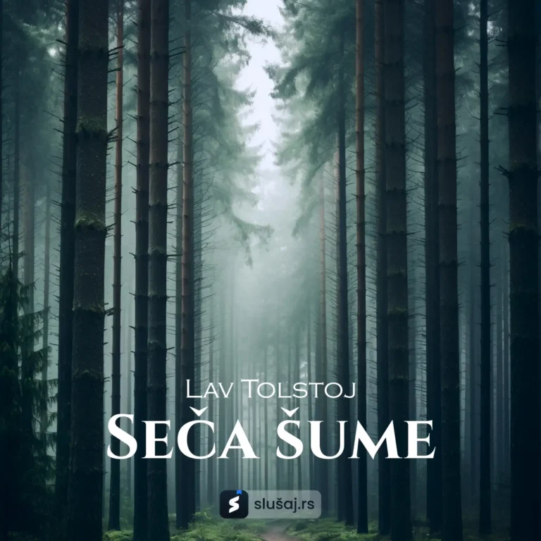Seča šume