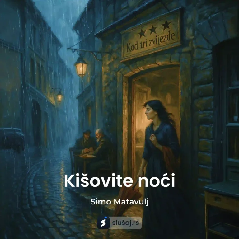 Kišovite noći