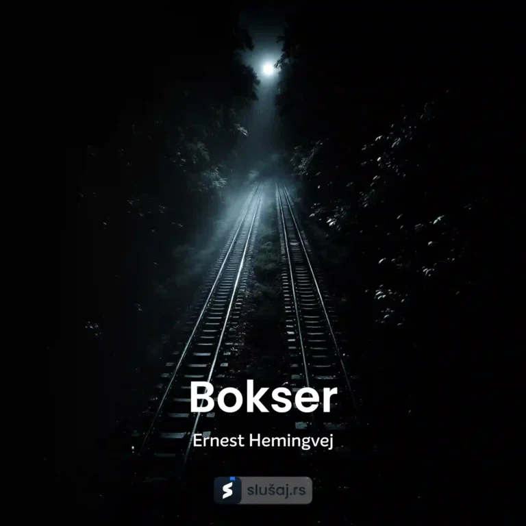 Bokser
