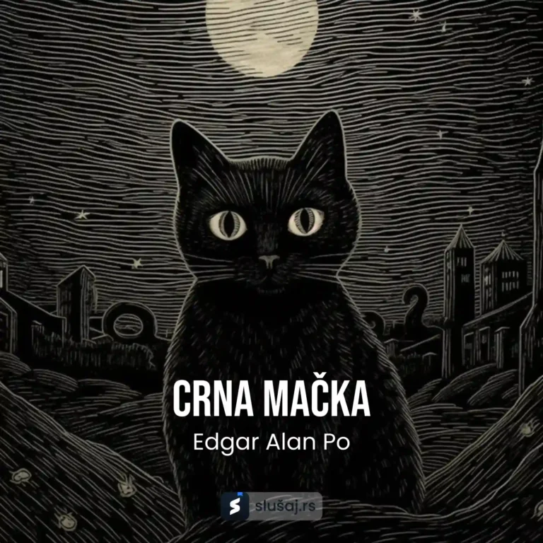 Crna mačka