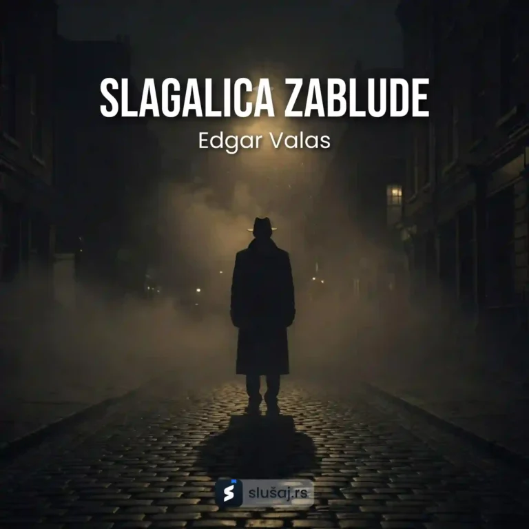 Slagalica zablude