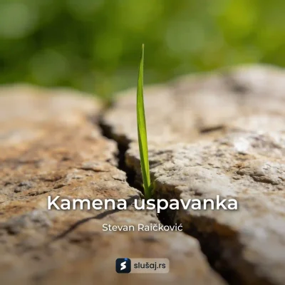 Stevan Raickovic Kamena Uspavanka