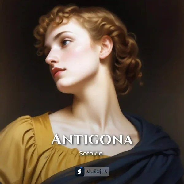 Antigona korica