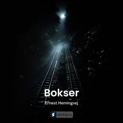 Bokser