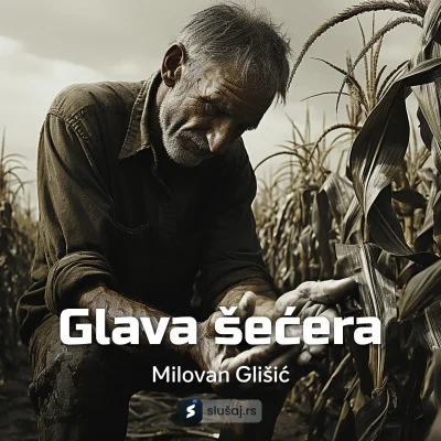 Glava šećera